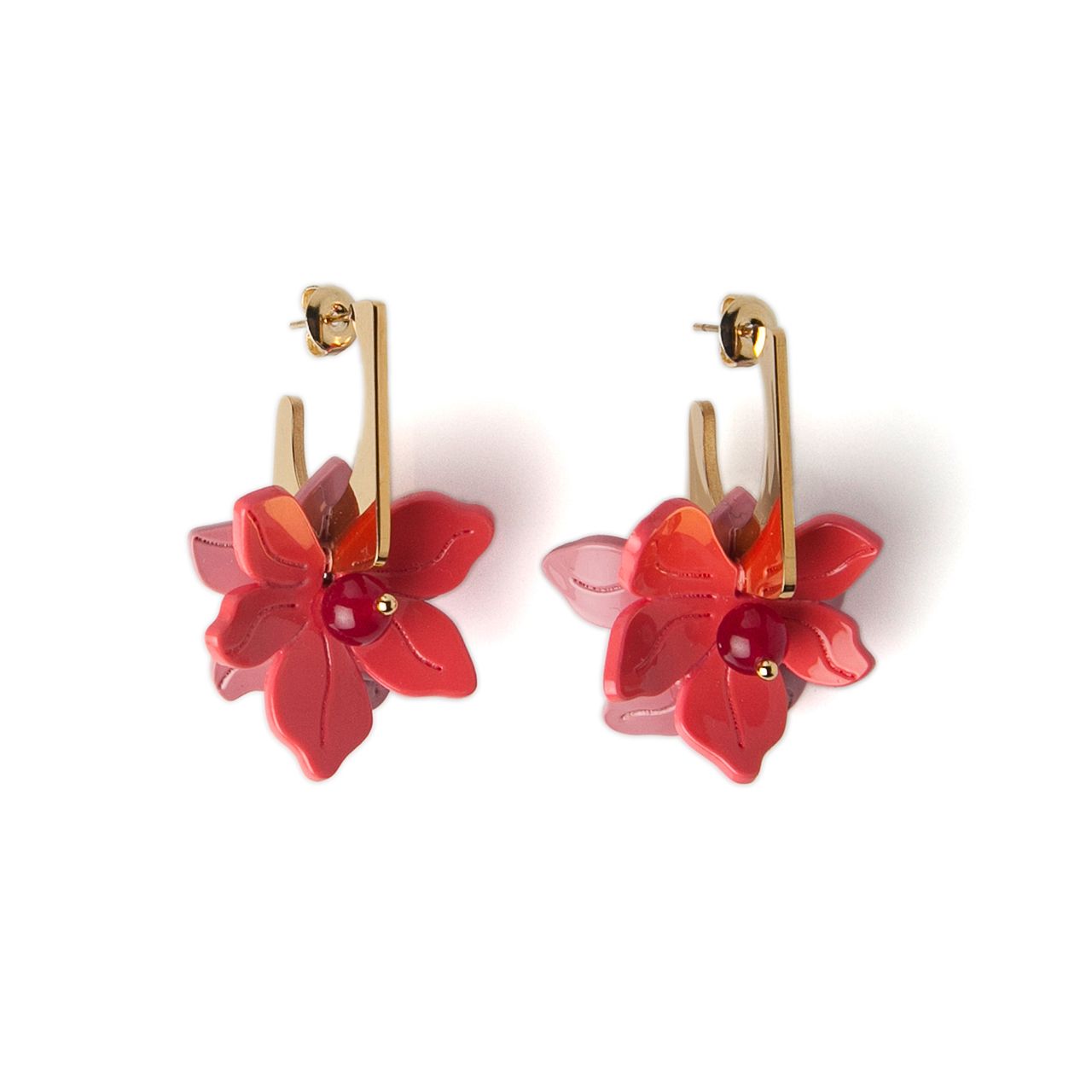 geranio coral